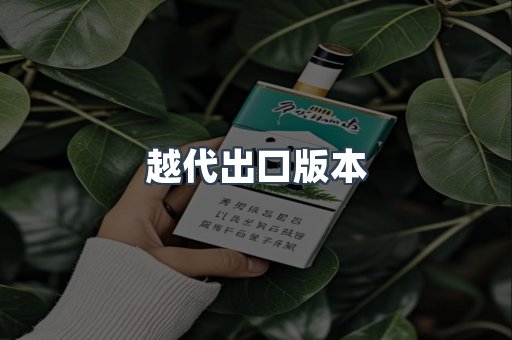 越代出口版本
